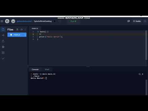 #2 Comments in Rust