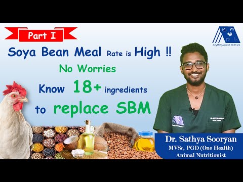 Soya Bean Meal DOC Replacement in Poultry Feed - Part 1 | SBM DOC Alternative | Cheap Feed Sources