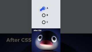 Before After CSS Radio🔘 #memes #coding #css