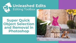 Super Quick Object Selection and Removal