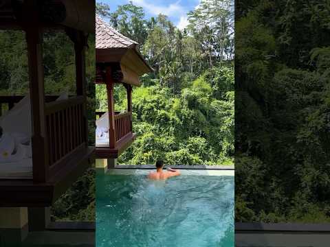 Waking up in the jungle! #shorts #bali