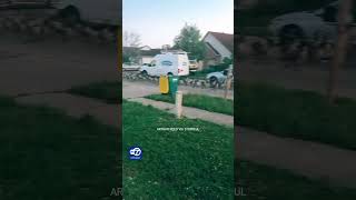 Formidable gaggle of geese marches down suburban street in Indiana