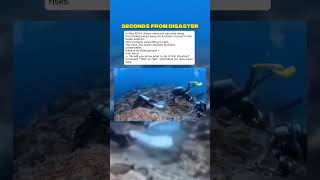 Divers Nearly Swept Away by a Violent Ocean Current  #curiosity #mistery