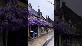 This 8-Second Loop Changed How I Focus #focusaid #nature #relaxation