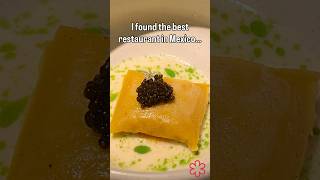 Inside Mexico’s Best Michelin-Starred Tasting Menu 🇲🇽✨ | Pujol, Quintonil… and Then There’s Pangea