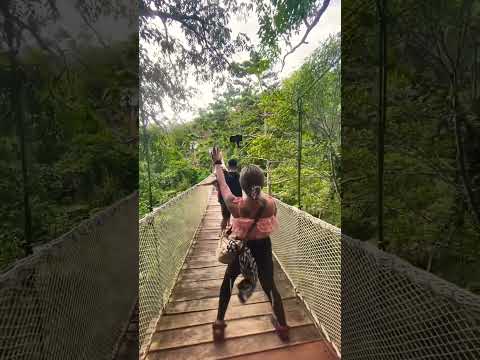 #hangingbridge #traveldestinations #philippines #itsmorefuninthephilippines #nature
