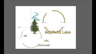 I will create tree Logo design service For your project