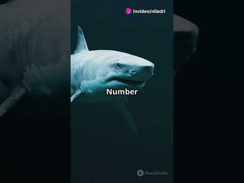 Top 5 Most Dangerous Animals in the World 🐍🐊 #shorts  #aiforbusiness #technology #aiin2025 #chatgpt