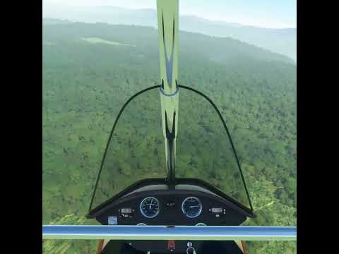 Overflying the scene of a fatal bear attack #msfs2020 #shorts