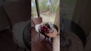 20ft Shipping Container Home w/ Rooftop Deck! (60 Second Airbnb Tour)