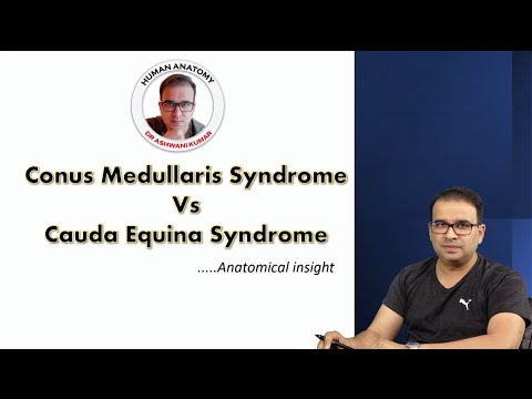 CONUS MEDULARIS & CAUDA EQUINA SYNDROMES.... Anatomical insight