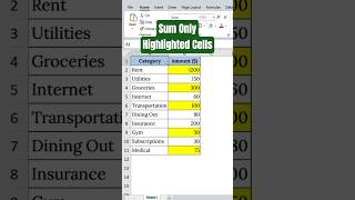 Sum Only Highlighted Cells in Excel – Fast & Easy Trick!