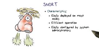 Snort