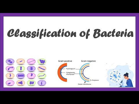 Classification of Bacteria | Based on nutrition I  Morphological Classification of Bacteria