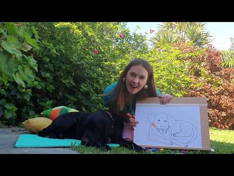 Bazza's School of Fun Ep.2 Drawing with Johnnie