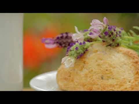 Summit, Ali'i Kula Lavender, & Makawao Town Tour