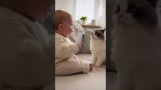 Baby’s Grandpa Talk Stuns the Cat — Until It Talks Back 😂