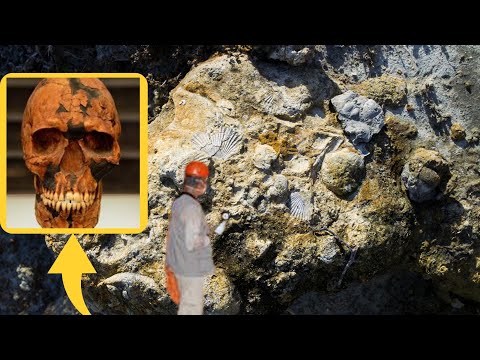 2 Million Year Old Fossil Shatters Our Understanding of Human Ancestors | Journey into the Past