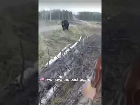 The United States thinking they have the best bears vs Russia's bears. 🇷🇺🆚🇺🇸🐻