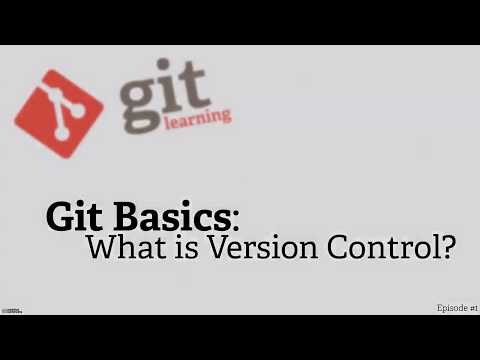 What is VCS Git SCM • Git Basics #1
