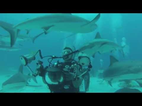 Nassau, Bahamas - Stewart Cove's Shark Arena - 2014