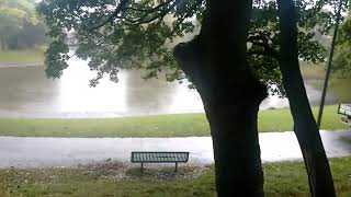 Central Park in The Rain