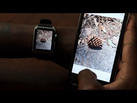 How To Save Pictures To Apple Watch Get Photos On Apple Watch Using Favorites