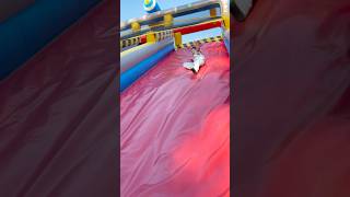 "Sliding down with style!  #SlideFun #Playground #KidsPlay #FunTimes #ChildhoodJoy #OutdoorFun