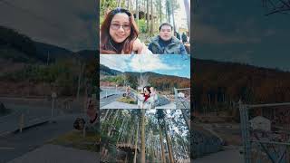 Forest Cafe in Japan #japan #japanvlog#forestcafe