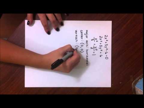 Conics-Amber Bird