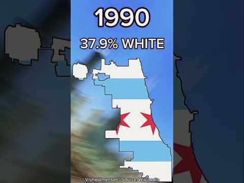 Chicago White Population #chicago #fypシ #shorts #politics #history #viral #trending #foryou #fyp