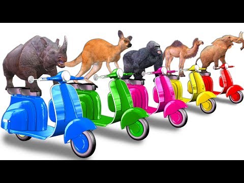 Learn Wild Animals On Scooter Toy Race Video For Kids - Animals Names & Sounds For Children