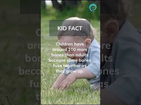 Kids facts. #shorts #kidfacts #kids