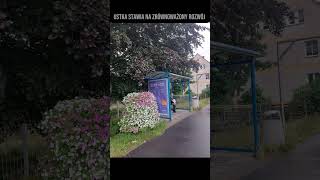 🌍✈️ Podróże kształcą! 🌿 #podróże #natura #ekologia  #dbajmynature #ustrój #zachowajczystosc #Ustka