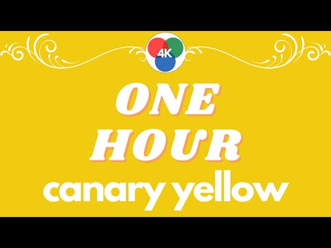 4K UHD - Peaceful Music ONE HOUR (CANARY YELLOW) RGB 241,203,16 HEX #F1CB10