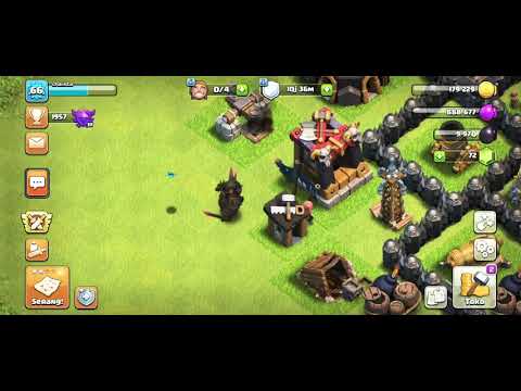 PEKA kejar kupu- kupu|| COC