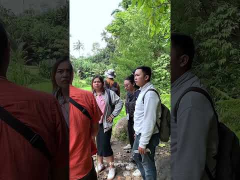 Land Due Diligence - Bali