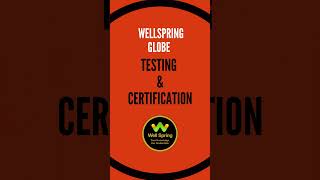 Get Certified from Home | Affordable Global Certifications by Well Spring Globe 🌍