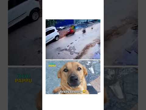 Really sorry Aunty ji #viralvideo #comedy #comedyshorts #instagram #reels #shortsvideo
