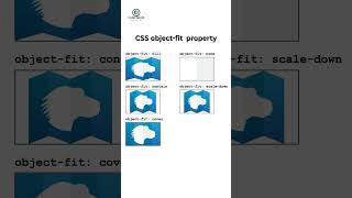 What is the CSS object-fit property?