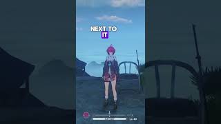 HIDDEN EASTER EGG IN WUTHERING WAVES ! #wutheringwaves #gacha #genshin #dmc