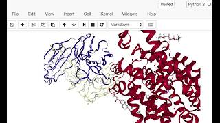 BioPython 3D Structure Analysis