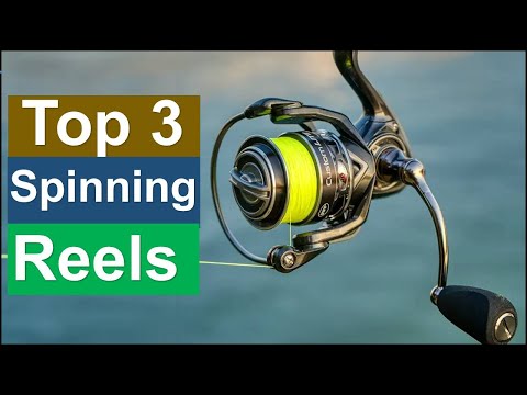 Best Spinning Reels Top 3 2025