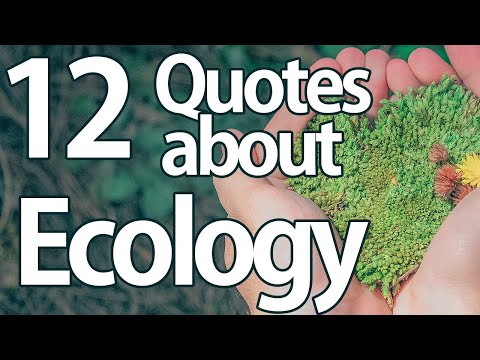 🌳🌳🌳 Quotes about ecology - save environment quotes (Save the earth) 🌳🌳🌳