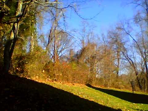 justin dramatic moultrie