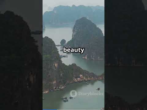 #banhmi #travel #vietnamtravel #tech #southeastasia #vietnamfood #hanoi #vietnam #halongbay #culture