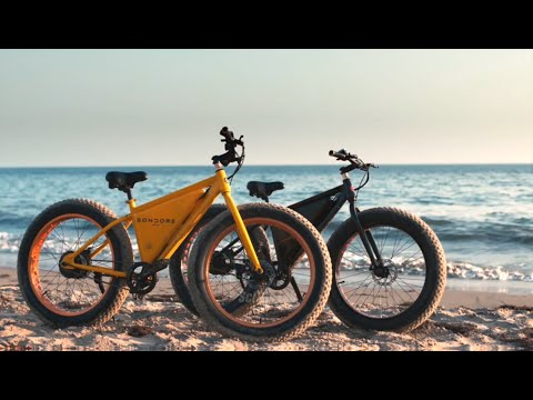 The Coolest Bikes You've Never Heard Of