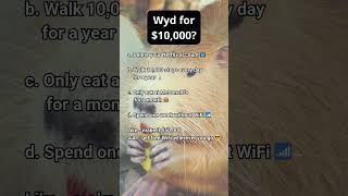 Could You Do It for $10k? #WYDChallenge #Millionaire #Decisions, #LifeChoices #DareToDecide