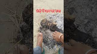 #farmer #bhojpurimusic #bhojpuri #myfirstvlogs
