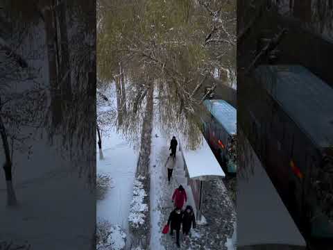 Winter’s First Snowfall ❄️⛄️❤️in Jiamusi University #jiamusiuniversity #chinamedicaluniversity